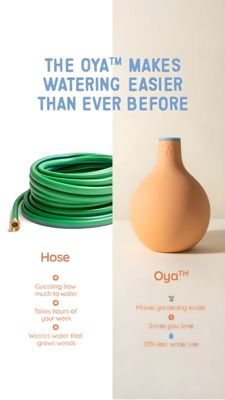 Home & Furniture Awareness Ad #1279 - Story 9:16