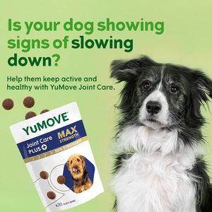 Pets Consideration Ad #675 - Square 1:1