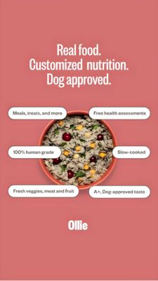 Pets Awareness Ad #544 - Story 9:16