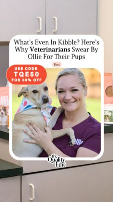 Pets Awareness Ad #261 - Story 9:16