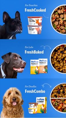 Pets Awareness Ad #1377 - Story 9:16