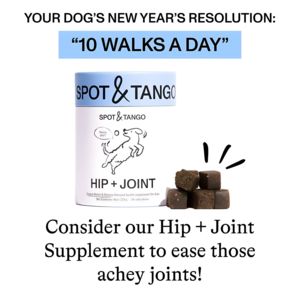 Pets Consideration Ad #395 - Square 1:1