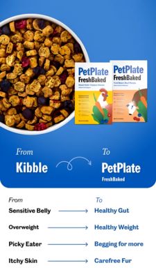 Pets Awareness Ad #286 - Story 9:16