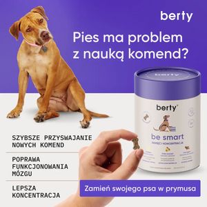 Pets Awareness Ad #3360 - Square 1:1