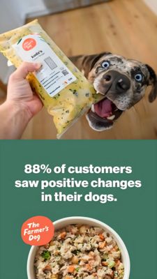 Pets Awareness Ad #200 - Story 9:16