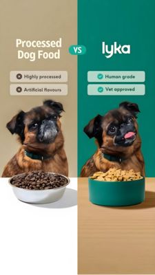 Pets Consideration Ad #1345 - Story 9:16