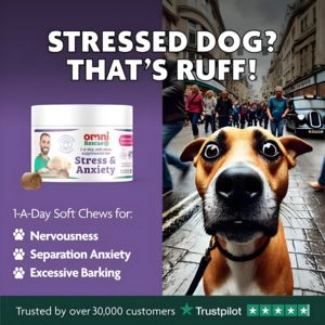 Pets Awareness Ad #1311 - Square 1:1