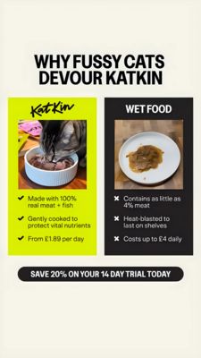 Pets Consideration Ad #553 - Story 9:16