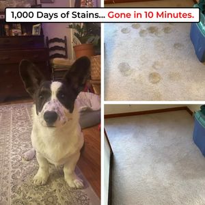 Home & Furniture Awareness Ad #332 - Square 1:1