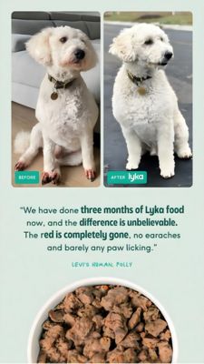 Pets Consideration Ad #1259 - Story 9:16